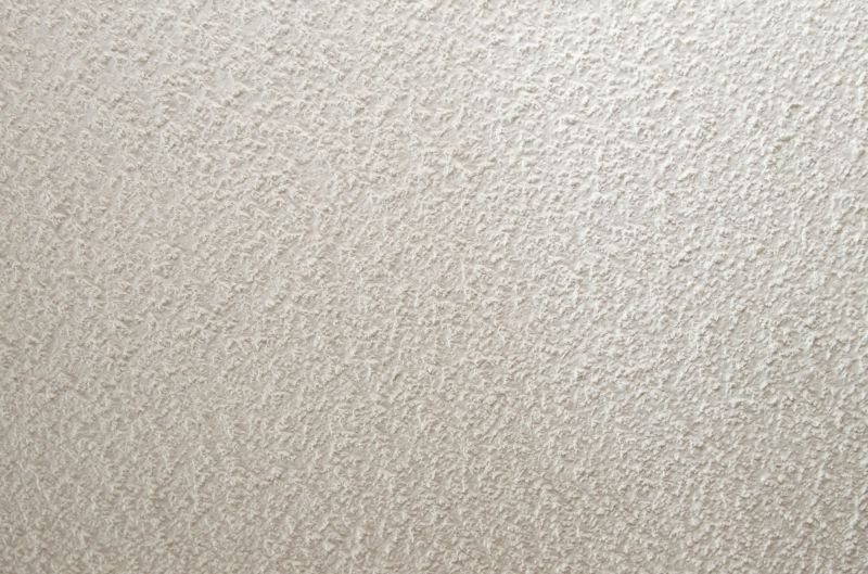 Textured Ceiling Restoration
