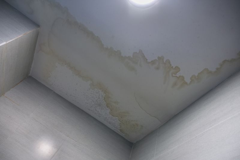 Damaged Ceiling Sections
